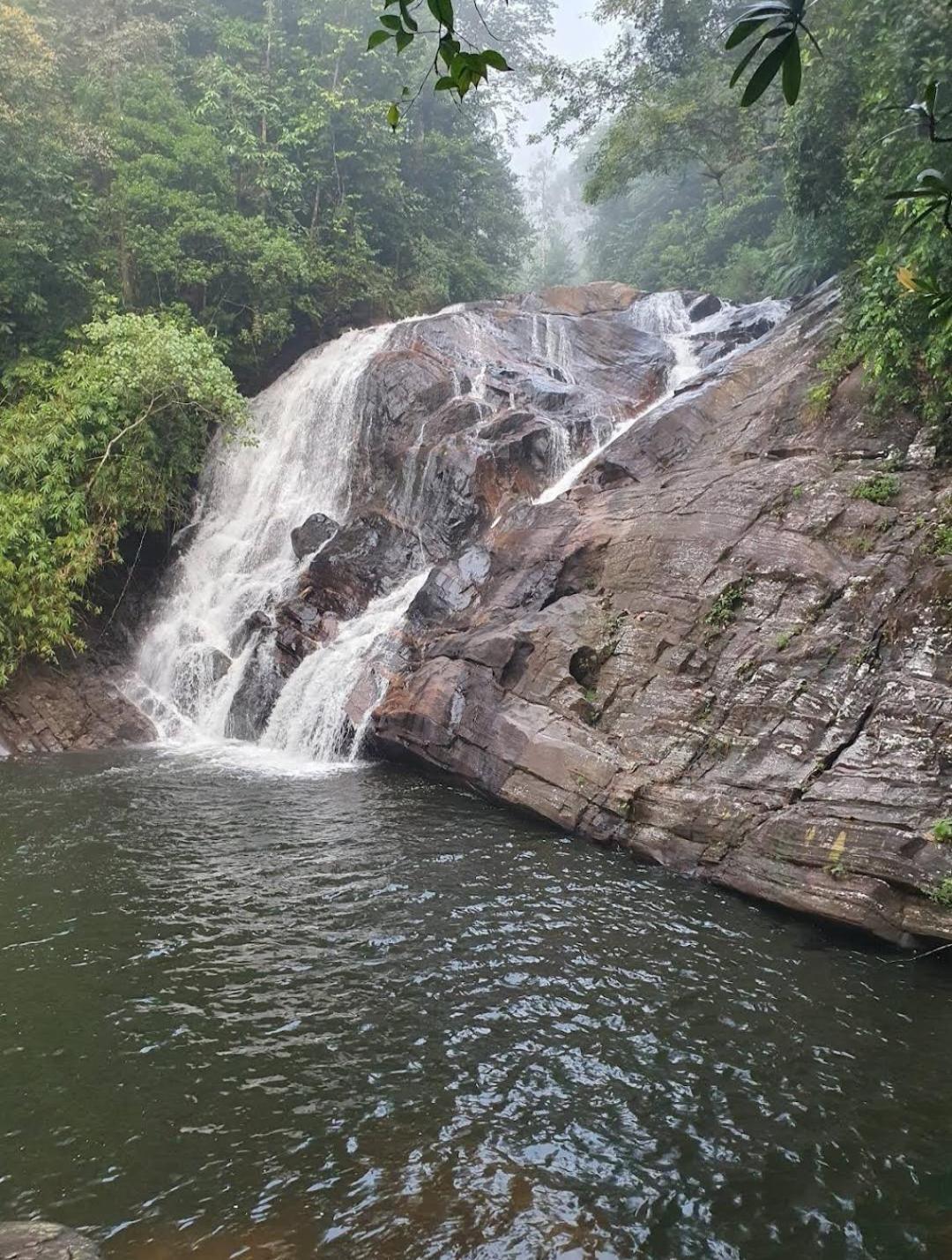 Sinharaja Vini Villa Deniyaya Exterior foto